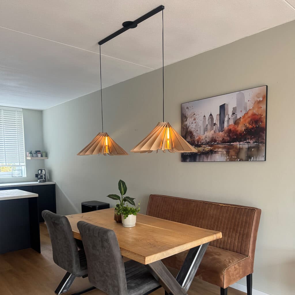 Ophangsysteem & Hanglamp